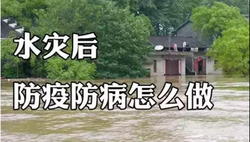 &#74;&#68;&#66;&#40;&#20013;&#22269;&#30005;&#23376;&#41;&#23448;&#26041;&#32593;&#31449;&#95;&#74;&#68;&#66;