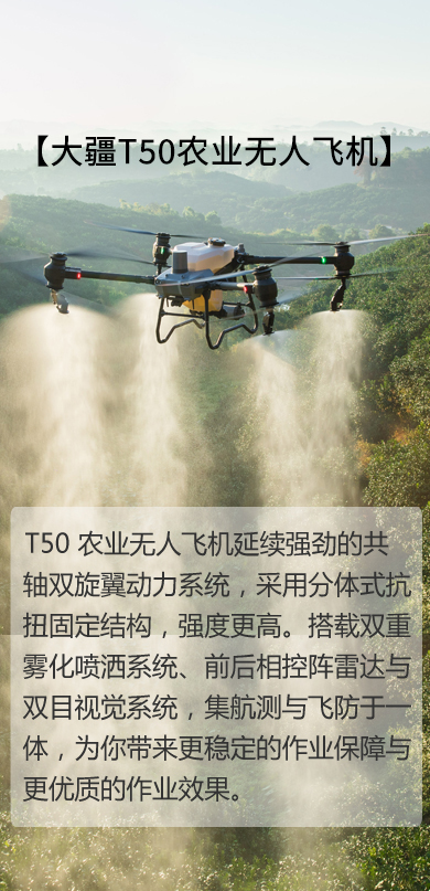 &#74;&#68;&#66;&#40;&#20013;&#22269;&#30005;&#23376;&#41;&#23448;&#26041;&#32593;&#31449;&#95;&#74;&#68;&#66;